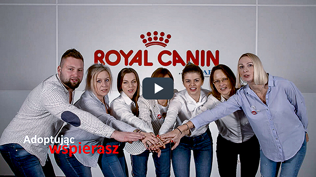 Film promocyjny: Adoptowane z sercem <br>Klient: Royal Canin <br>Zdjęcia: Krzysztof Kalisz <br>Montaż: Krzysztof Kalisz